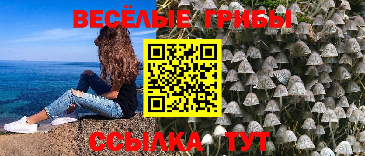 Йошкар-Ола  Галлюциногенные грибы GOLDEN TEACHER  Вход с VPN 