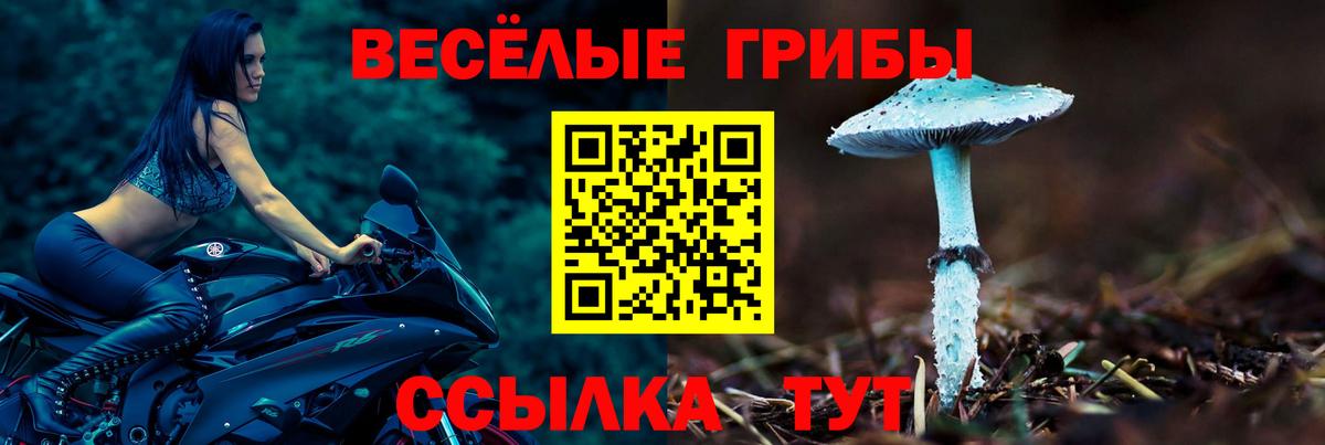 Псилоцибиновые грибы ЛСД Йошкар-Ола